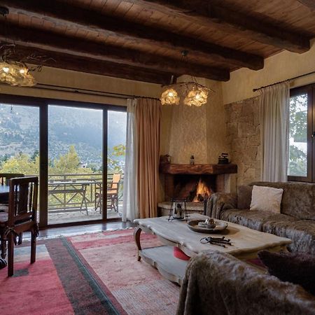 Parnassus Dreamwood Chalet Eptálofos Buitenkant foto