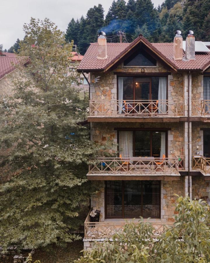Parnassus Dreamwood Chalet Eptálofos Buitenkant foto