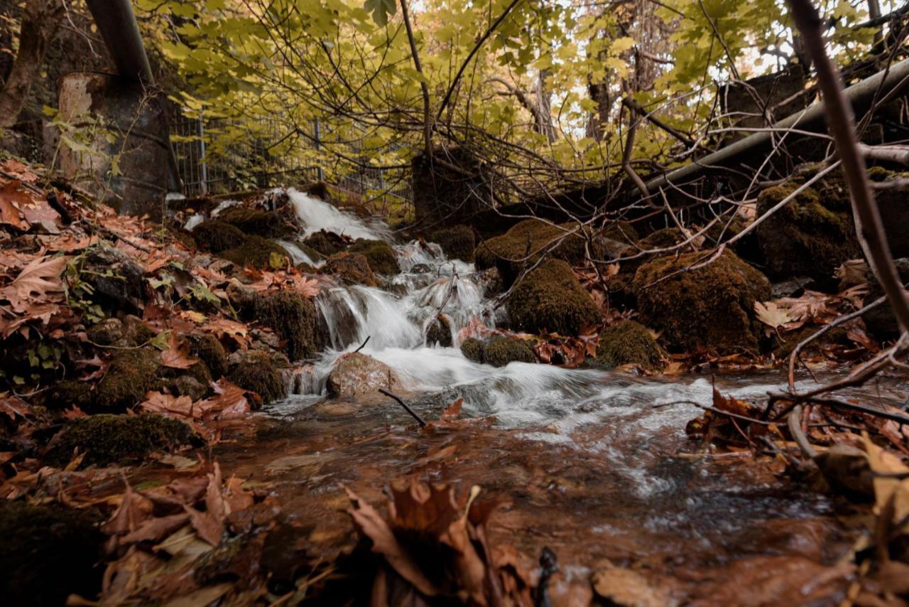 Parnassus Dreamwood Chalet Eptálofos Buitenkant foto